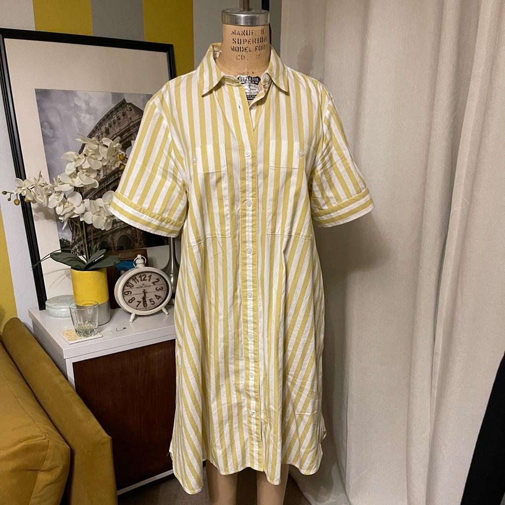 Everlane stripped sun dress
